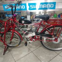 Bicicleta de Carga Motorizada