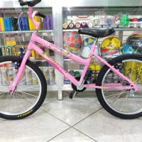 Bicicleta Infantil Aro 20 Feminino