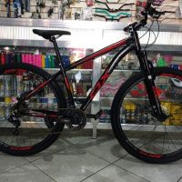 Bicicleta Aro 29